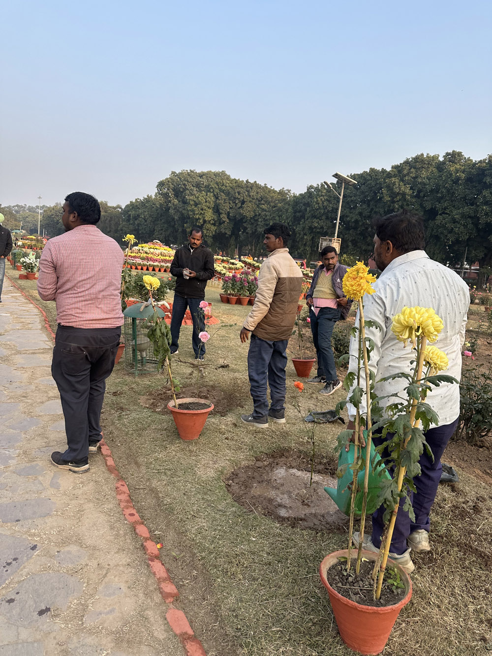 15वीं पंजाब विश्वविद्यालय गुलदाउदी प्रदर्शनी 20 दिसंबर, 2024 से शुरू होगी।